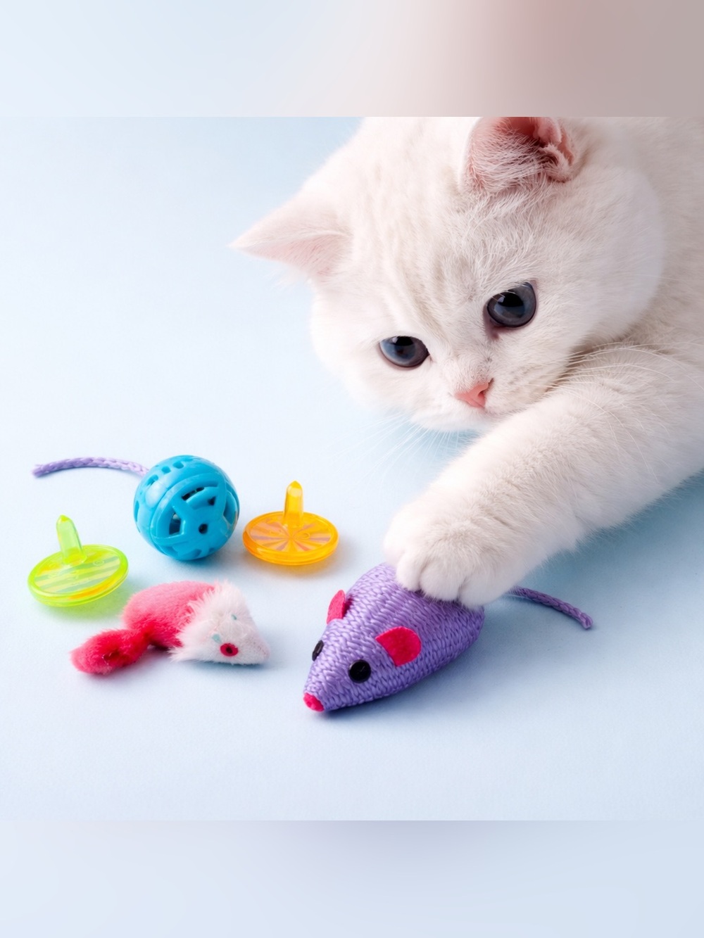 Colorful Cat Toy 6 Piece Set